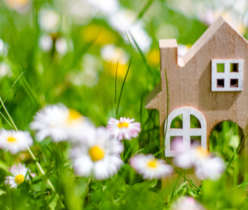 toy house and daisies
